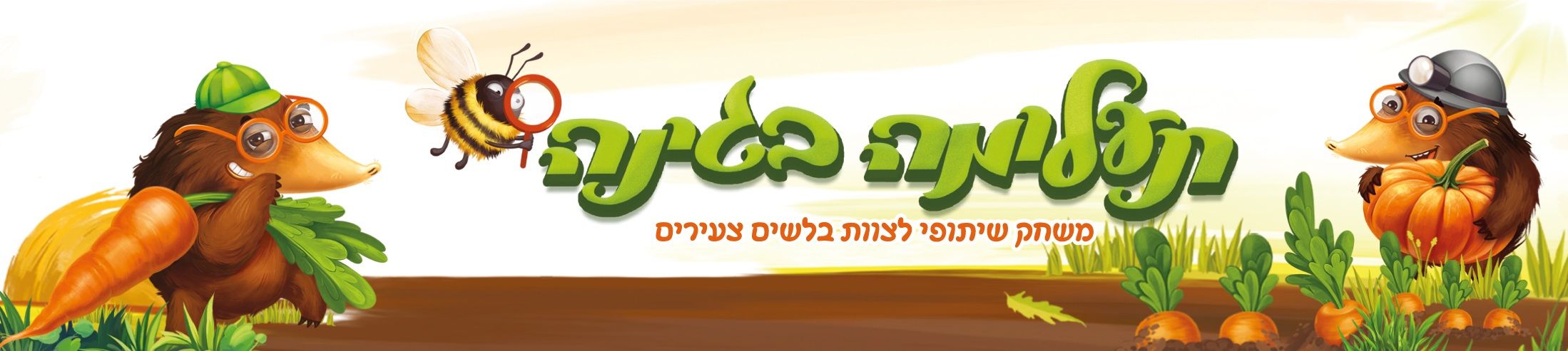 תעלומה בגינה